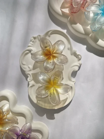 پلومریای شیشه ای مات