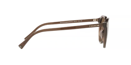 عینک آفتابی کوچ Coach HC8339U