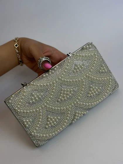 کیف مجلسی وارداتی 316