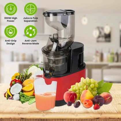 آبمیوه گیری Slow Juicer مدل YX01 ظرفیت 1000 میلی‌لیتر و توان 500 وات
