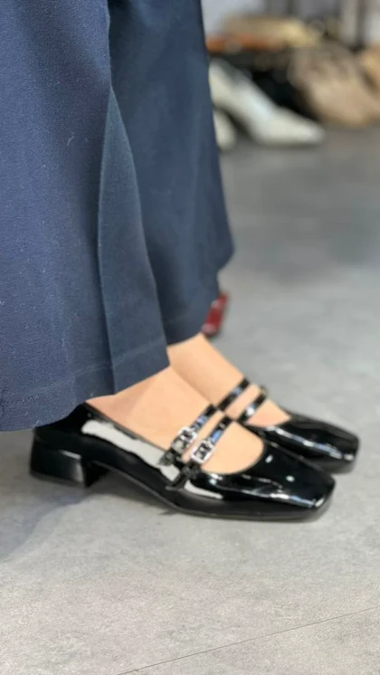 p316 - دو سگک خوکی p316