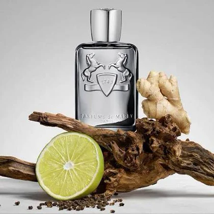 عطر ادکلن پارفومز دی مارلی کاستلی | Parfums de Marly Castley