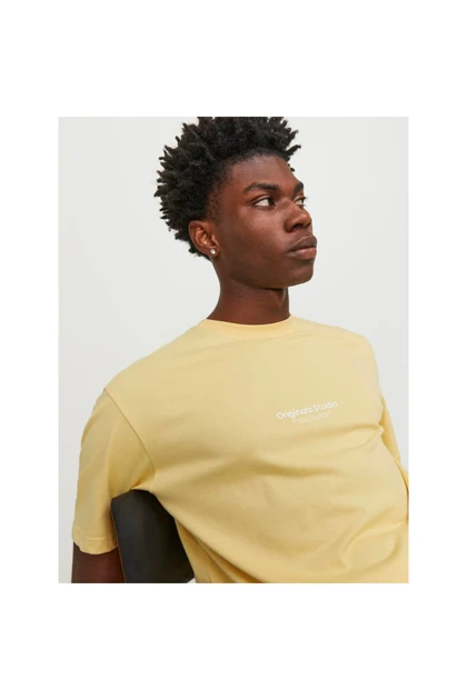 تیشرت مردانه jack-and-jones