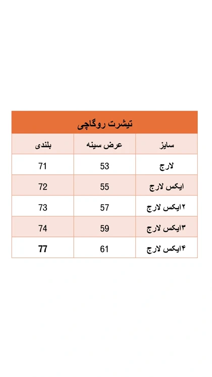 تیشرت نخ پنبه ساده روگاچی
