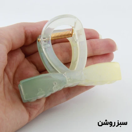 کلیپس دخترانه مدل پاپیون دو رنگ