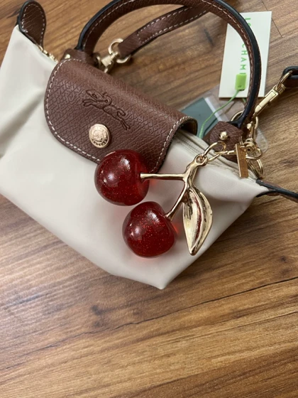 بگ‌چارم کوچ Coach مدل گیلاس