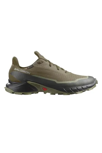 کفش مردانه در فضای باز Alphacross 5 Gtx L47310300