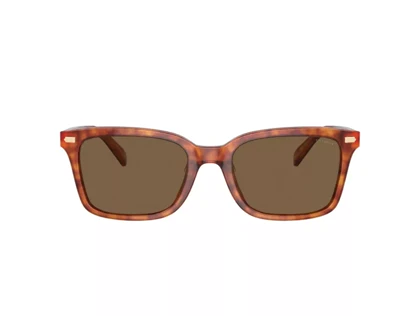 عینک آفتابی کوچ Coach HC8398U