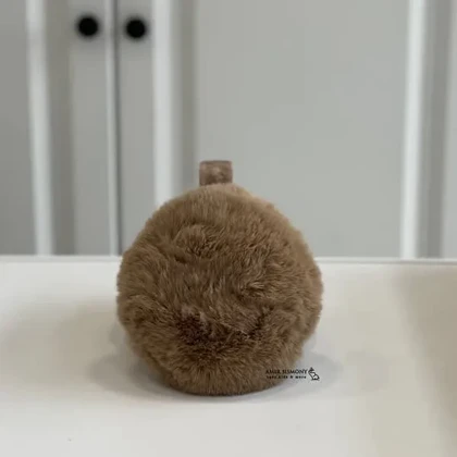 گوشگیر زمستانه خزدار ساده