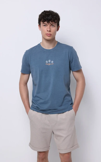 تیشرت مردانه Colin's