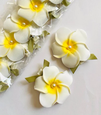 انبری پلومریا-کد 1255