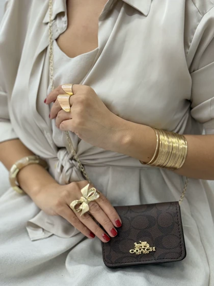 مینی بگ دراج