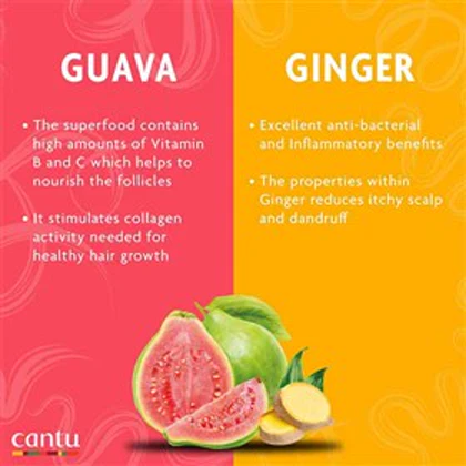 لوسیون پاکسازی پوست سر قبل از شامپوی کانتو Cantu Guava Ginger