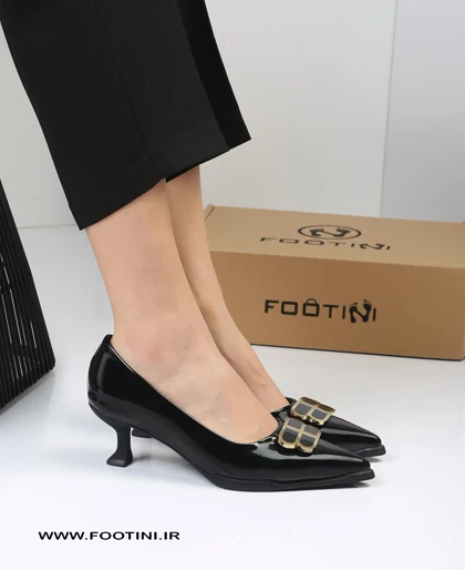 کفش زنانه مجلسی لودشکا MR