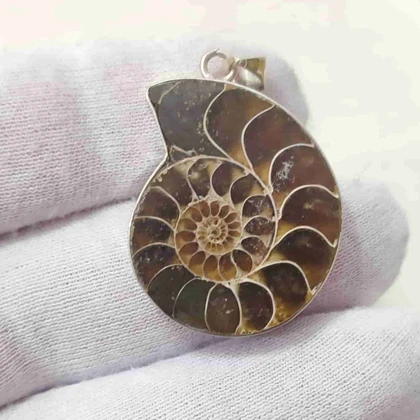 گردنبند نقره با فسیل آمونیت طبیعی اصل کد 62 (بدون زنجیر)
