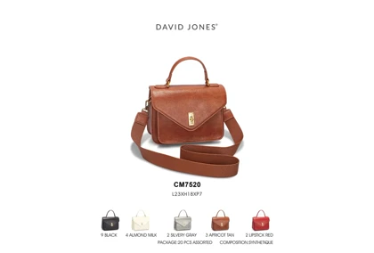 کیف دوشی مدل David Jones CM7520