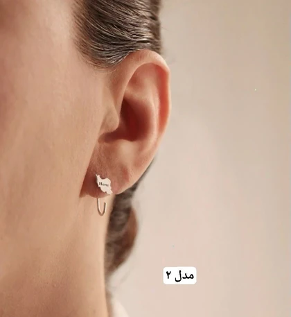 گل گوش نقره مردانه ایران