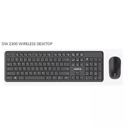 ست موس و کیبورد بی سیم چری DW 2300