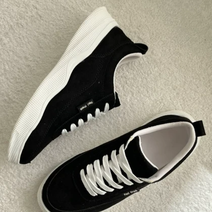 ونس جدید بنیتا 331