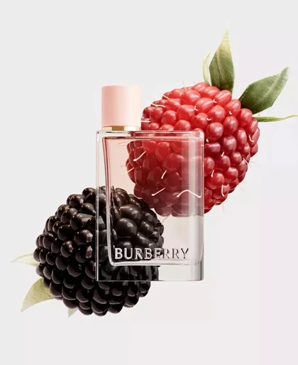 باربری هر (بربری هر)BURBERRY - Burberry Her