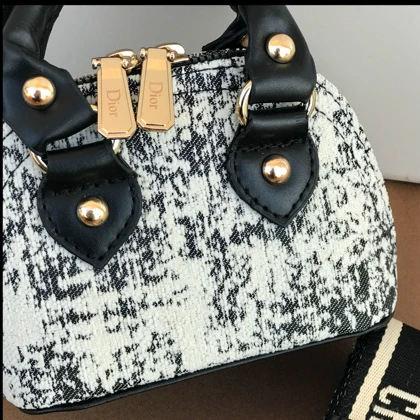 کیف مینی بگDior وارداتی