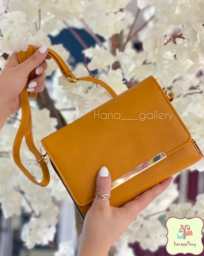 کیف جینی