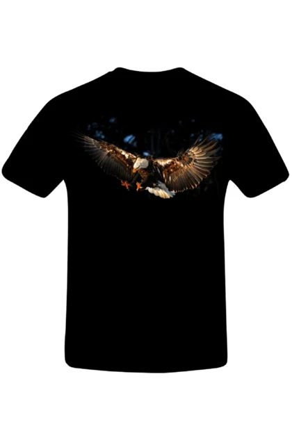 تیشرت سایز بزرگ مردانه lifeguard