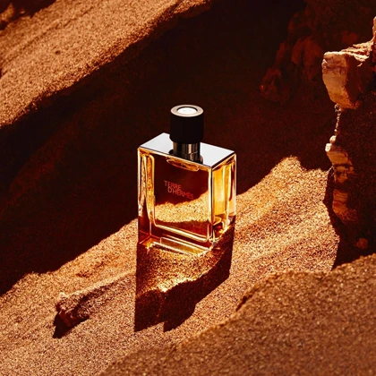 عطر هرمس تق هرمس Hermes Terre d Hermes