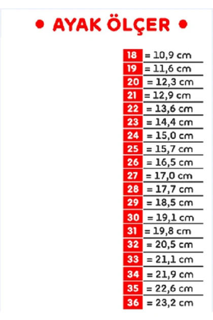 کفش کلاسیک بچگانه raker