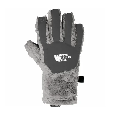 دستکش زمستانه THE NORTH FACE DENALi