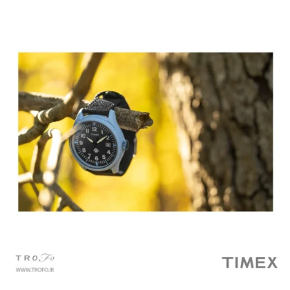 ساعت مچی عقربه ای مردانه تایمکس (Timex) مدل TW2W34300