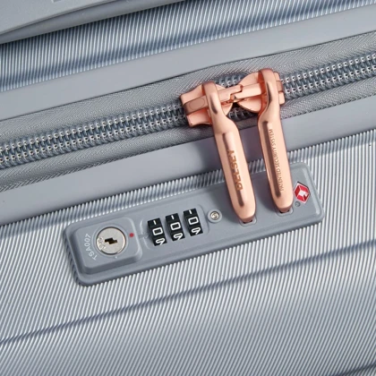 دلسی چمدان delesy-17919