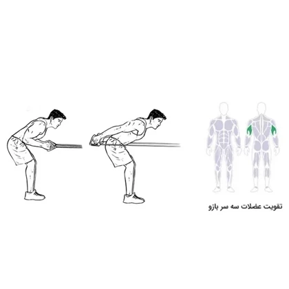 کش بدنسازی همه کاره رادیس فیت مدل All in One