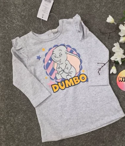 تیشرت آستین بلند دخترانه دیزنی کد Z-HGF56