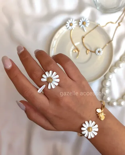 سرویس بابونه (در انتخاب گزینه دقت کنید)