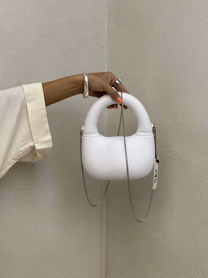 کیف مگنتی