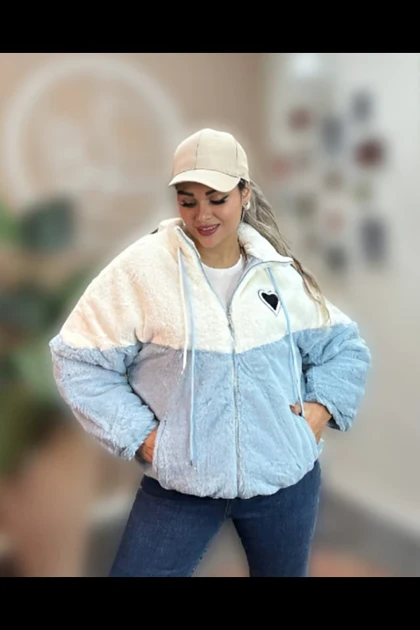 تدی مدل قلبی