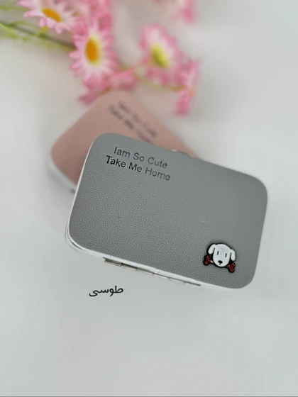 جاکارتی پاپی