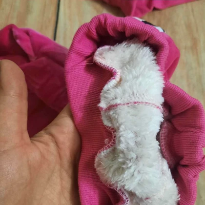 هودی شلوار مخمل خارجی DIOR داخل خزدار