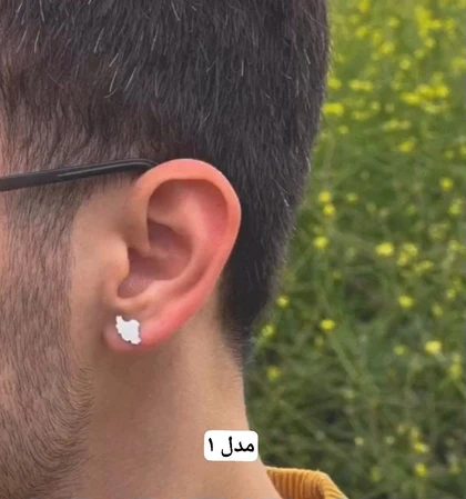 گل گوش نقره مردانه ایران