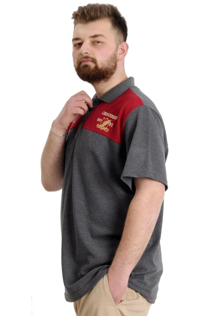 تیشرت سایز بزرگ مردانه modexl