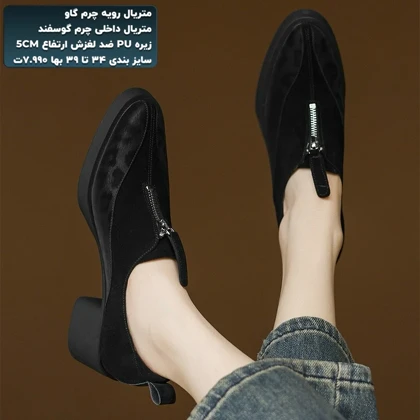 کفش مجلسی