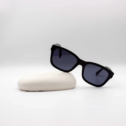 عینک آفتابی ری بن RayBan Wayfarer مدل 8810