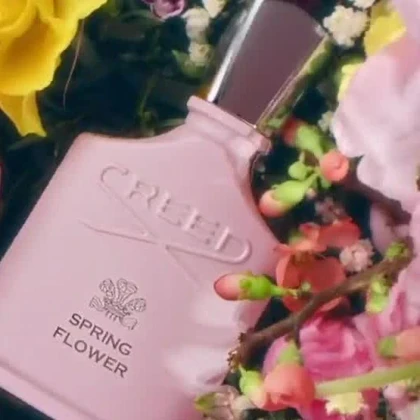 کرید اسپرینگ فلاور-creed Spring Flower