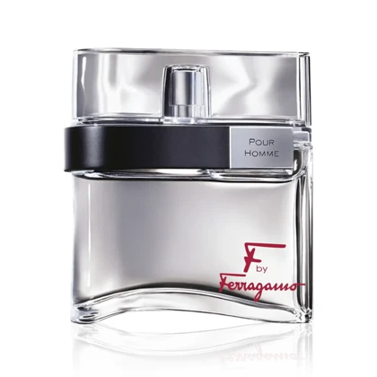 ادوتویلت مردانه سالواتور فراگامو مدل F By Ferragamo حجم 100ml