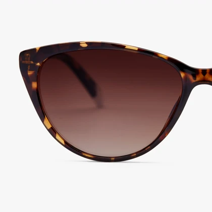 عینک آفتابی بارنر Barner Astoria Glossy Sun