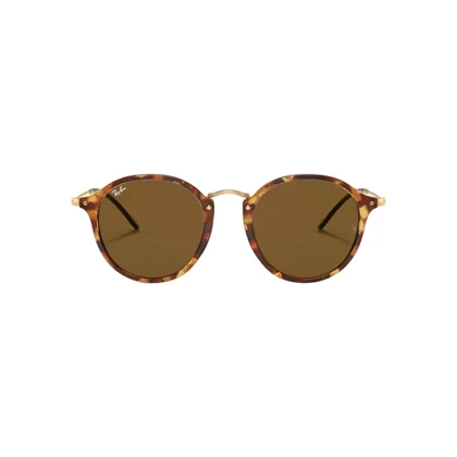 عینک آفتابی ریبن RayBan RB2447S 1160
