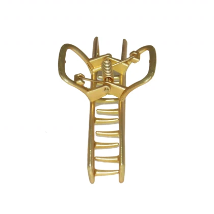 کلیپس مو زنانه مدل G_Lnd_150