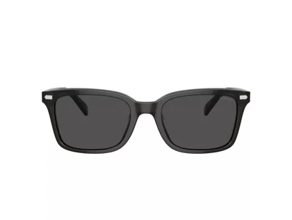 عینک آفتابی کوچ Coach HC8398U