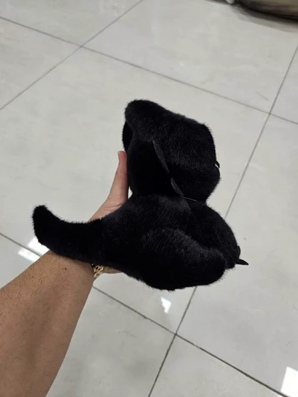عروسک اژدها